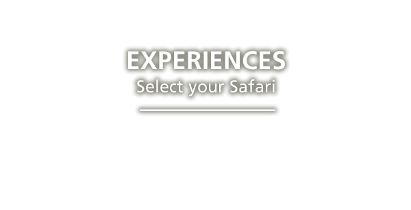 choose-your-safari