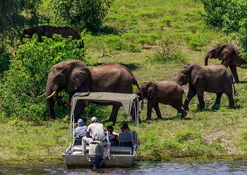 Chobe National Park