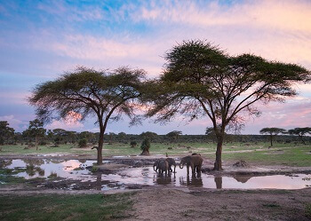 hwange national park