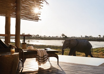 Okavango Delta Belmond Eagle Island Lodge