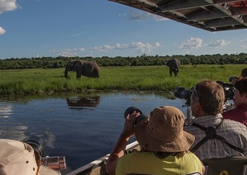 Chobe Activities