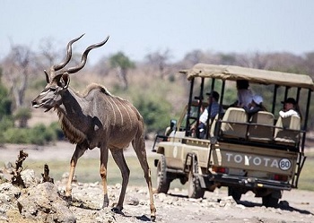 Lake Kariba Camping sites