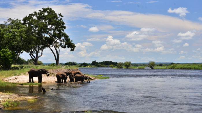 Victoria Falls